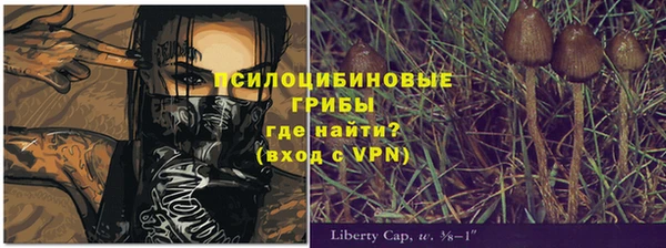 a pvp Бугульма