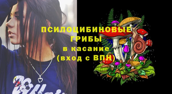 скорость Бронницы